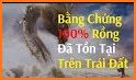 Chắn 100 related image