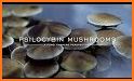 Magic Mushrooms related image