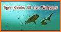 Sharks Live Wallpaper related image