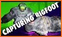 Finding Bigfoot Guide 2018 related image