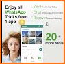 WhatsTool App - WA Toolkit related image