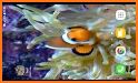Aquarium Clown Fish Live Wallpaper 2018 related image
