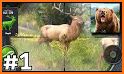hunting clash : bigfoot wild hunter game related image
