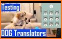Dog Language Translator Simulator - Talk to Pet related image