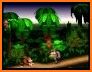 Guides for the  Donkey Kong Country related image