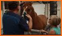 Sale Creek Vet Services related image