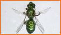 WiBee: The Wisconsin Wild Bee App related image