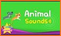 Names of Animal Sounds related image