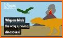 Surviving Bird related image