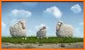 3 Sheep related image