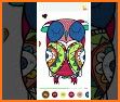 Owl Paint by Number Coloring related image