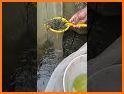 Fish Growing related image