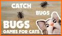 Catching Cats - Free Cat Game related image