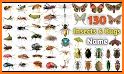 Picture insect: Bug identifier related image