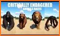 Gorilla Race! related image