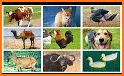 Farm Animal Sounds 2018 Great for Toddlers related image