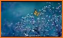 Butterfly Theme and Wallpaper related image