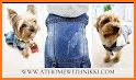 Puppy Fashion related image