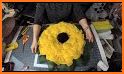 The Yellow Daffodil Boutique related image
