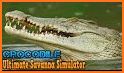 Wildlife Simulator: Crocodile related image