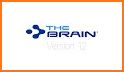 TheBrain related image