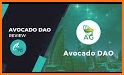 Avocado - Loyalty Rewards related image