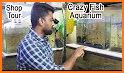 Fish World video of ornamental fish related image