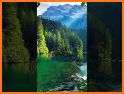 Wallive related image