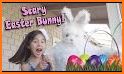 Happy Easter Bunny Racing related image