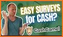 Zynner Surveys For Cash related image