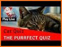 Guess the Dog Breed: Picture Quiz Game Trivia related image