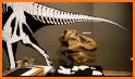 3D Dino Bones related image
