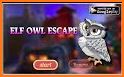 Free New Escape Game 117 Elf Owl Escape related image