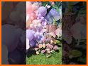 Butterfly Flower Themes related image
