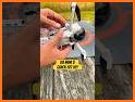 Go Fly Drones D.J.I Controller related image