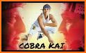 Quiz Cobra Kai related image