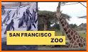 San Francisco Zoo related image