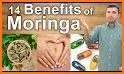 Moringa KSJH9 related image