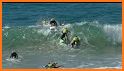Surf Race! related image