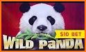 Panda Best Slots Free Casino related image