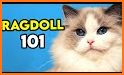 Ragdoll Sorting related image