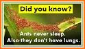 Animal Fun Facts - Did You Know? related image