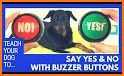 Yes & No Buttons | Game Buzzer Questions related image