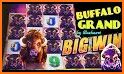 MEGA BIG WIN : Buffalo Grand Jackpot Slots related image