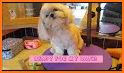 Puppies Salon Caring and Grooming related image