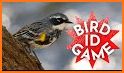 Bird Guide + Quiz Game related image