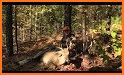 Extreme Deer Hunting 2019 related image