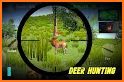 Jungle Hunt Safari 2021 related image