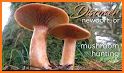 Oregon NW Mushroom Forager Map related image