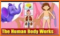 How does The Human Body Work? related image